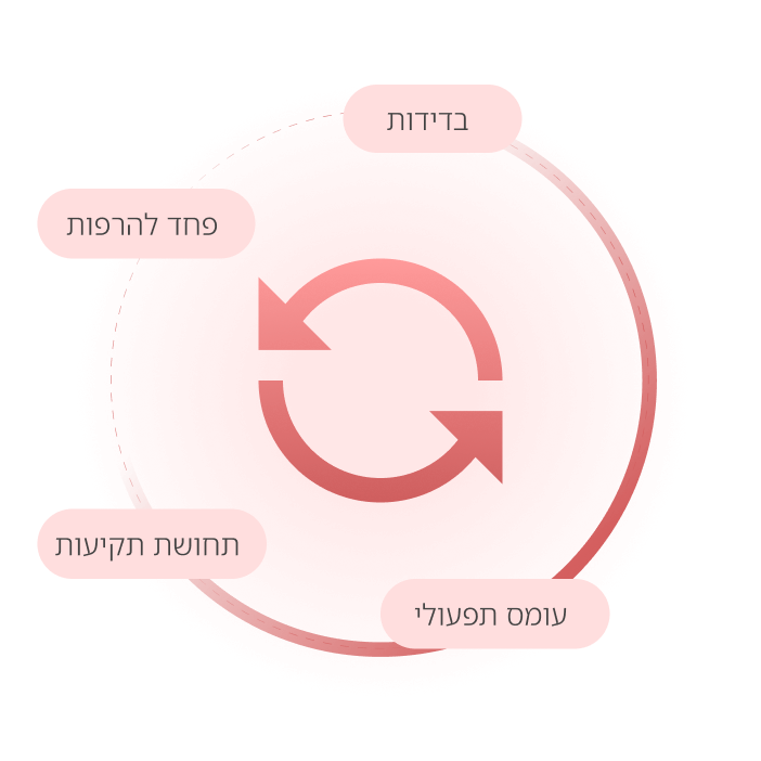אייקון עיצובי - אלחי פיין ייעוץ עסקי