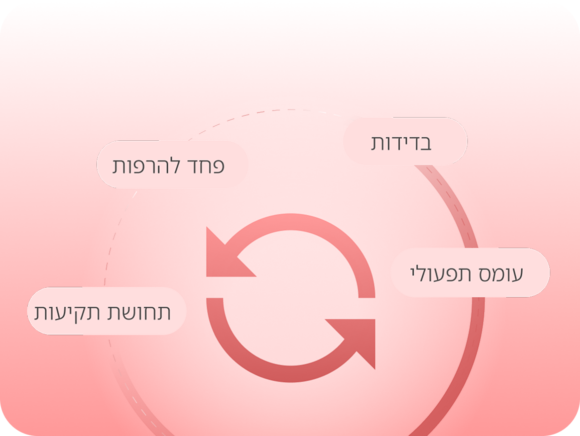 אייקון עיצובי - אלחי פיין ייעוץ עסקי